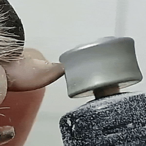 Sanfter Pfotenpflege-Trimmer